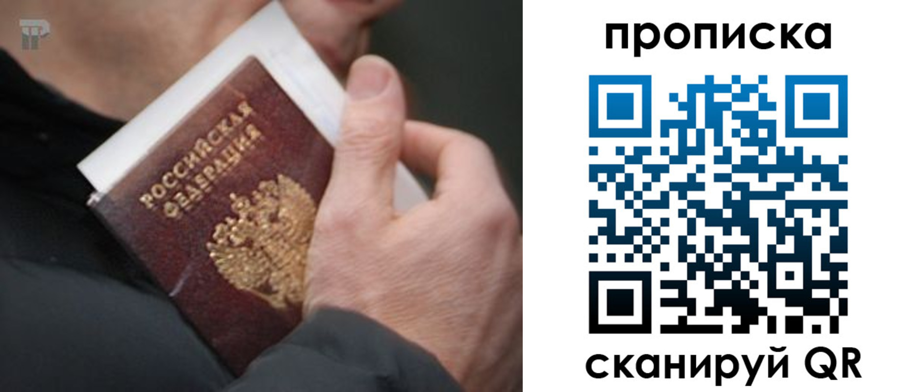 временная регистрация гарантия в Новом Осколе